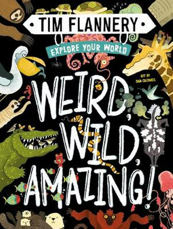 Cover Art for 9781760501587, Explore Your World: Weird, Wild, Amazing! by Prof. Tim Flannery