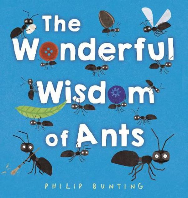 Cover Art for 9780593567784, The Wonderful Wisdom of Ants by Philip Bunting