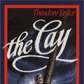 Cover Art for 9780808553007, The Cay by Theodore Taylor