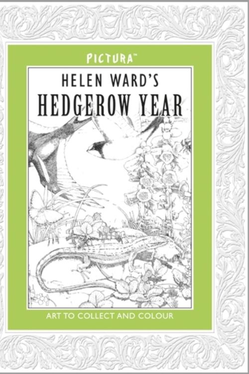 Cover Art for 9781848771642, Helen Ward’s a Hedgerow Year by Helen Ward