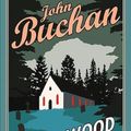 Cover Art for 9781846974564, Witch Wood by John Buchan
