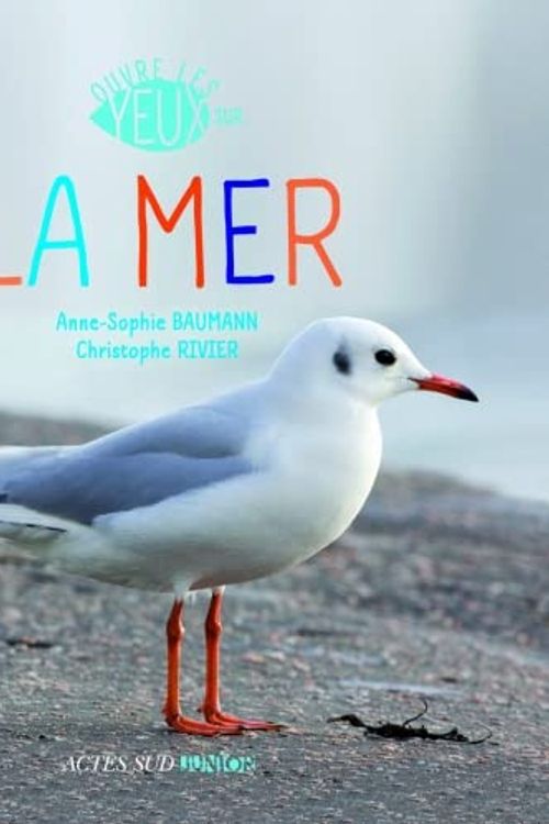Cover Art for 9782742797189, La mer by Baumann, Anne-Sophie, Rivier, Christophe