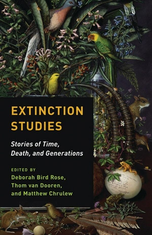 Cover Art for 9780231178815, Extinction StudiesStories of Time, Death, and Generations by Deborah Bird Rose