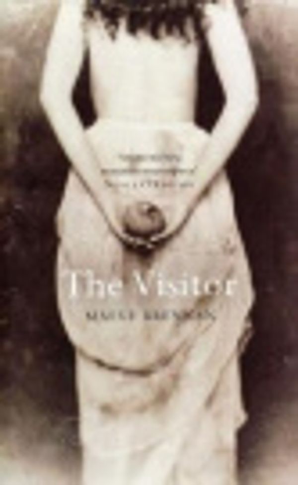 Cover Art for 9781904301424, The Visitor by Maeve Brennan