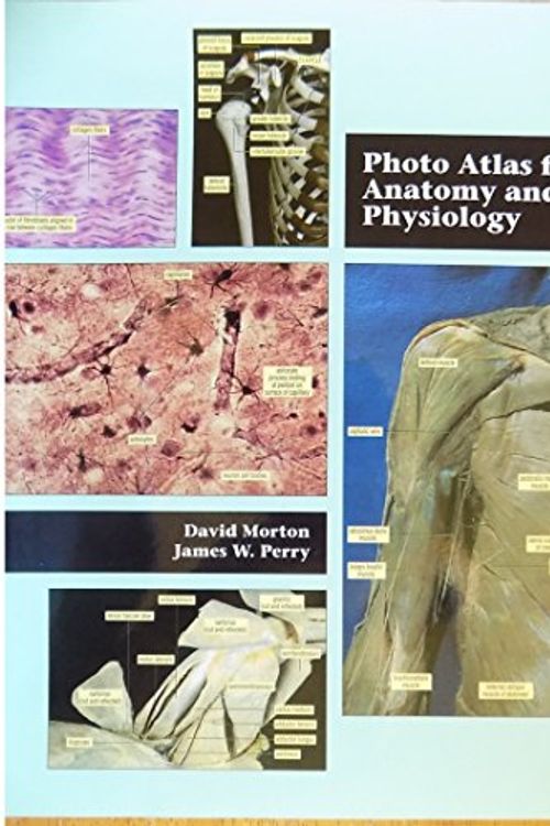 Cover Art for 9780534517168, Photo Atlas for Anatomy and Physiology by Morton,David, Perry,James