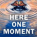 Cover Art for 9780241396100, Here One Moment by Liane Moriarty