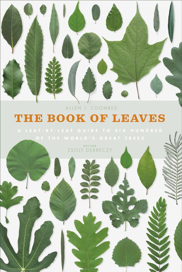 Cover Art for 9781782403302, The Book of Leaves: A leaf-by-leaf guide to six hundred of the world's great trees by Allen J. Coombes, Zsolt Debreczy