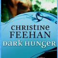 Cover Art for 9781405522458, Dark Hunger: Number 14 in series by Christine Feehan