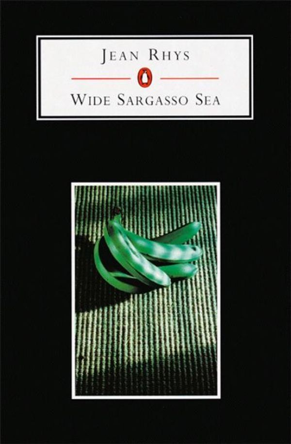 Cover Art for 9780140818031, Wide Sargasso Sea by Jean Rhys