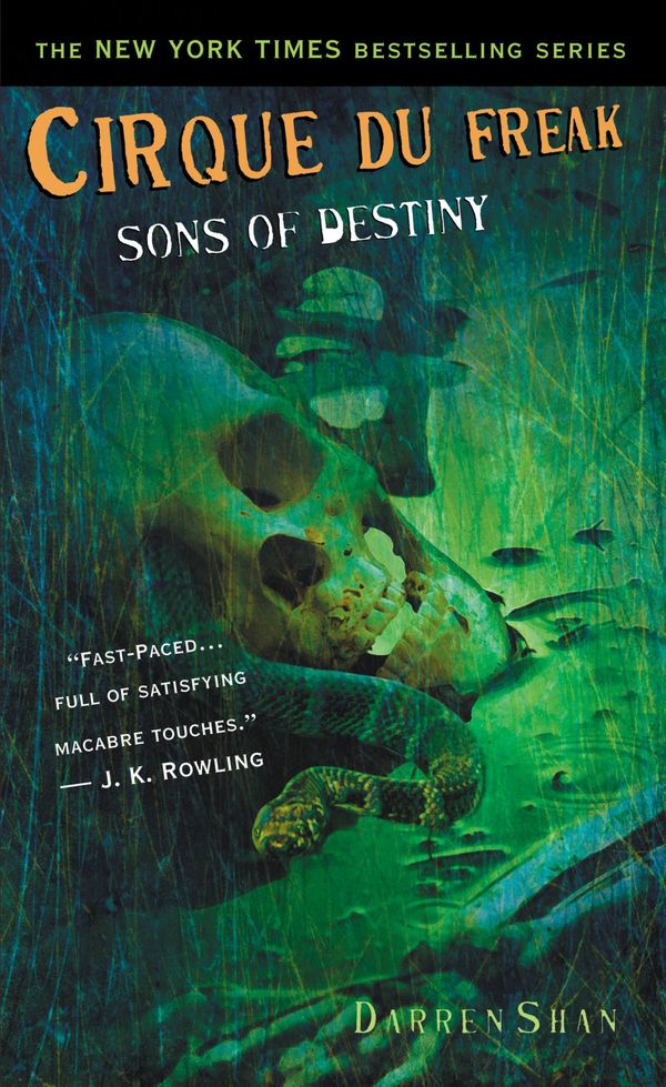 Cover Art for 9780316016643, Cirque Du Freak #12: Sons of Destiny by Darren Shan