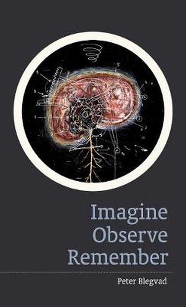 Cover Art for 9781910010259, Imagine, Observe, Remember by Peter Blegvad