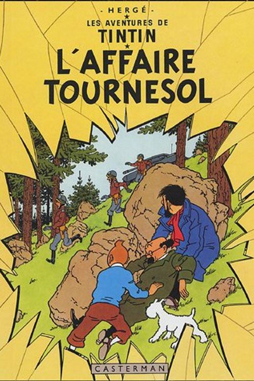 Cover Art for 9782203012059, AFFAIRE TOURNESOL (L') : FAC-SIMILÉ COULEUR by Hergé