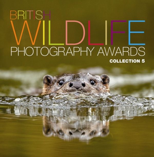 Cover Art for 9780749576431, British Wildlife Photography Awards 5 by Aa Publishing