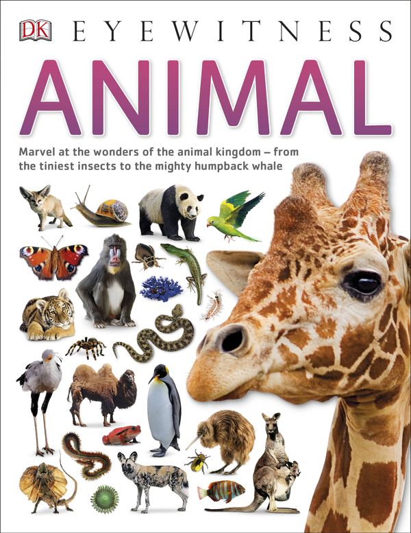 Cover Art for 9780241187760, DK Eyewitness: Animal by DK