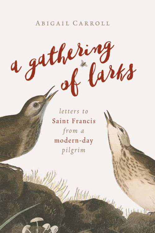 Cover Art for 9780802874450, A Gathering of LarksLetters to Saint Francis from a Modern-Day Pilgrim by Abigail Carroll