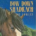 Cover Art for 9780140362527, Bow Down Shadrach by Joy Cowley