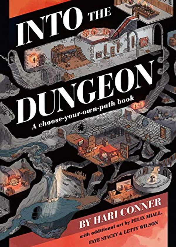 Cover Art for 9781999677510, Into the Dungeon: A choose-your-own-path book by Hari Conner, Hari Conner, Felix Miall, Faye Stacey