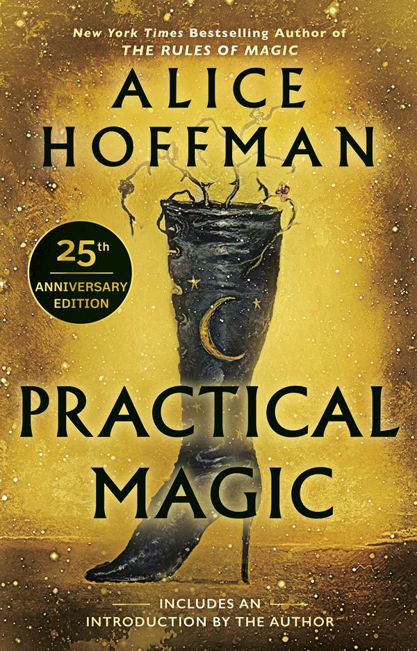 Cover Art for 9780425190371, Practical Magic by Alice Hoffman