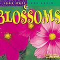 Cover Art for 9781574713299, Plant Blossoms by Schwartz, David M