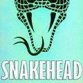 Cover Art for 9781406305722, Snakehead by Anthony Horowitz