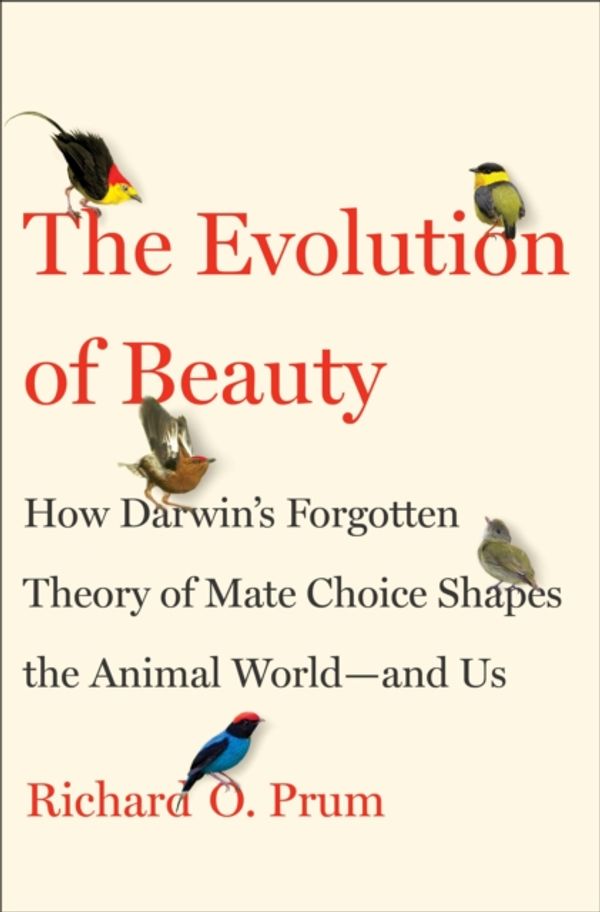Cover Art for 9780385537216, The Evolution of BeautyHow Darwin's Forgotten Theory of Mate Choice Sh... by Richard O. Prum