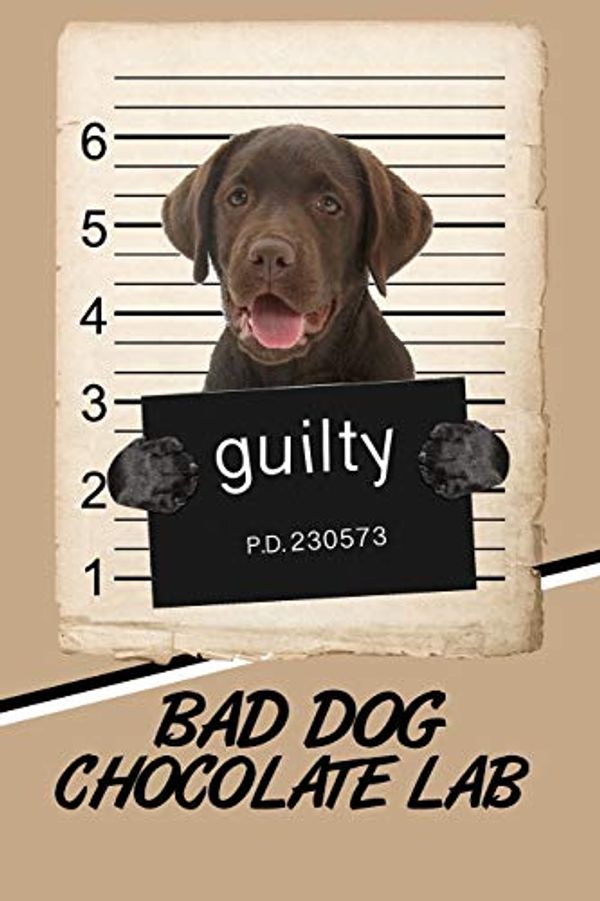 Cover Art for 9781794660458, Bad Dog Chocolate Lab: Beer Tasting Journal Rate and Record Your Favorite Beers Collect Beer Name, Brewer, Origin, Date, Sampled, Rating, STATS ABV ... Meter, Note and Flavor Wheel 120 Pages 6x9 by Rob Cole