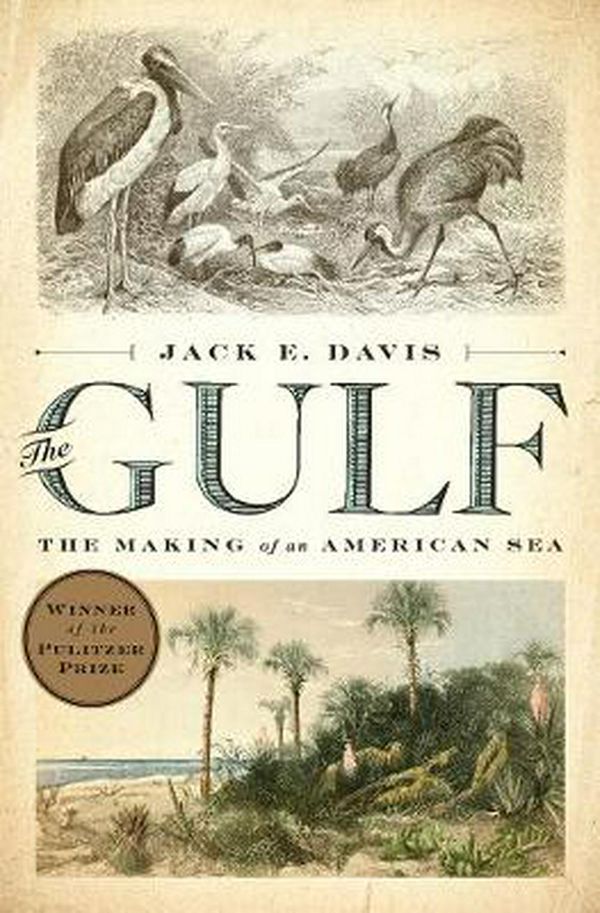 Cover Art for 9780871408662, The GulfThe Making of an American Sea by Jack E. Davis