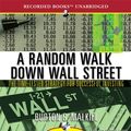 Cover Art for 9781436105248, A Random Walk Down Wall Street by Burton Gordon Malkiel