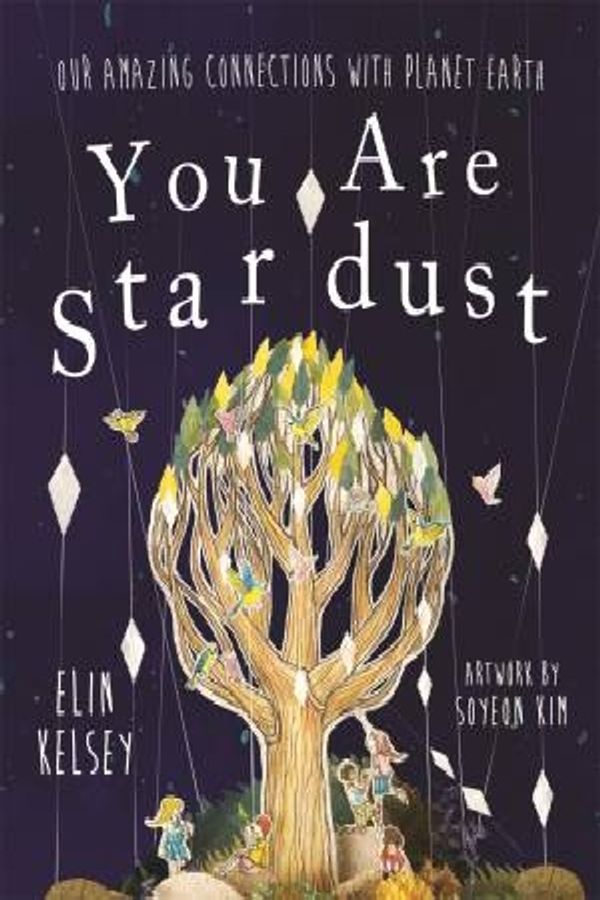 Cover Art for 9780750296571, You are Stardust by Elin Kelsey