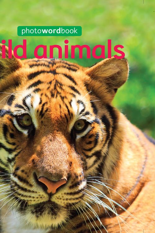 Cover Art for 9781526303486, Photo Word Book: Wild Animals by Camilla Lloyd