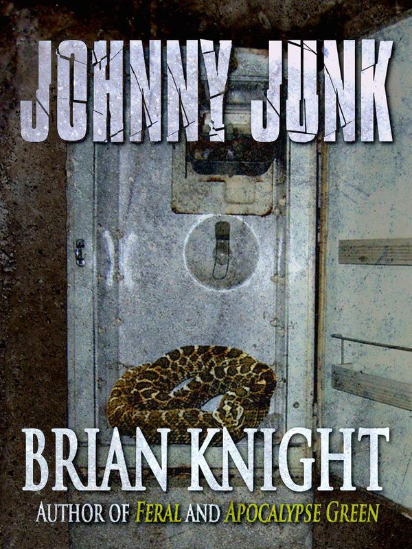 Cover Art for 6230000000073, Johnny Junk by Brian Knight