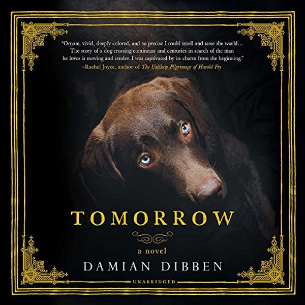 Cover Art for 9781538510322, Tomorrow: Library Edition by Damian Dibben