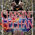 Cover Art for 9780425255803, Dark Storm by Christine Feehan