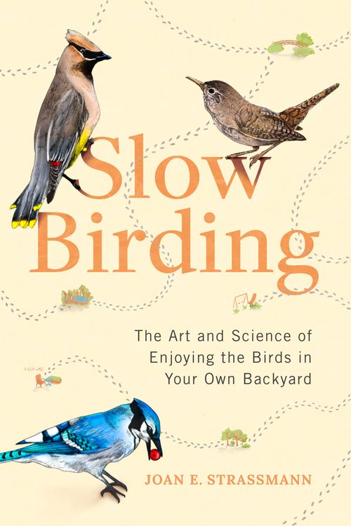 Cover Art for 9780593329924, Slow Birding: The Magical World of Everyday Birds Right Outside Your Door by Joan E. Strassmann