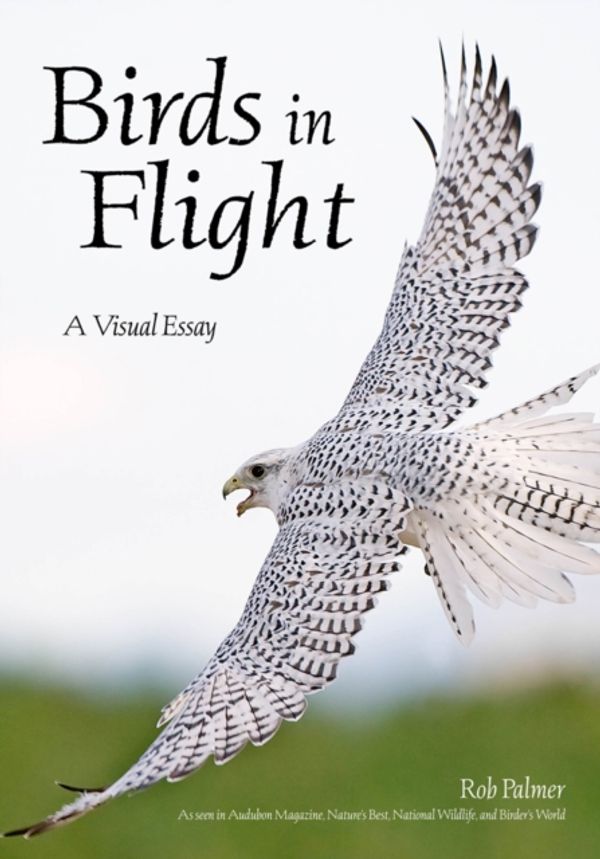 Cover Art for 9781682033883, Birds in Flight: A Visual Essay by Rob Palmer