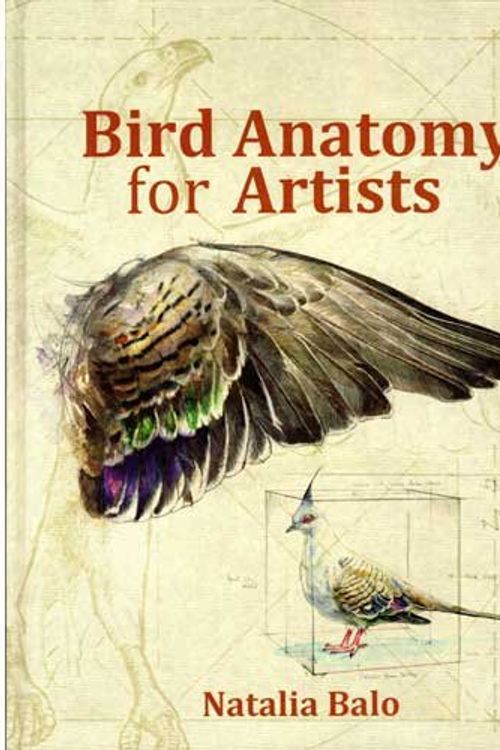 Cover Art for 9780987337306, Bird Anatomy for Artists by Natalia Balo