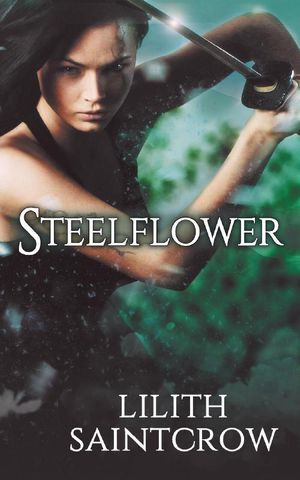 Cover Art for 9780989975377, Steelflower by Lilith Saintcrow