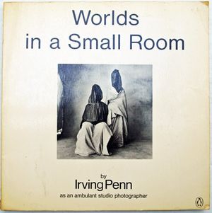 Cover Art for 9780140055658, Worlds in a Small Room. by Irving Penn