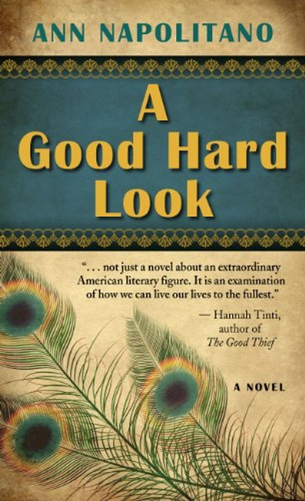 Cover Art for 9781410441324, A Good Hard Look by Ann Napolitano