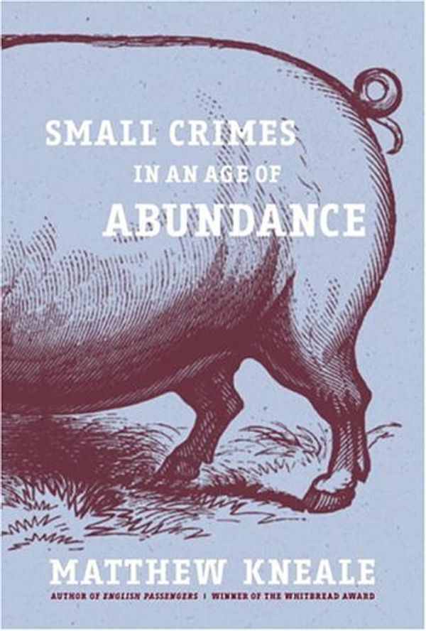 Cover Art for 9780385514071, Small Crimes in an Age of Abundance by Matthew Kneale