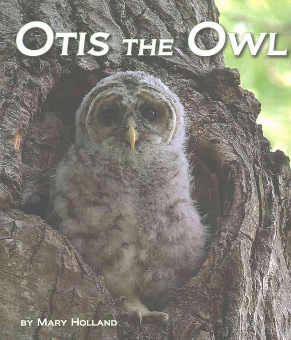 Cover Art for 9781628559408, Otis the Owl by Mary Holland
