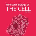 Cover Art for 9780815341116, Molecular Biology of the Cell by Bruce Alberts, Alexander Johnson, Julian Lewis, Martin Raff, Keith Roberts, Peter Walter