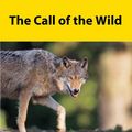 Cover Art for 9781770432048, The Call of the Wild by Jack London
