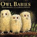 Cover Art for 9781564021014, Owl Babies by Martin Waddell