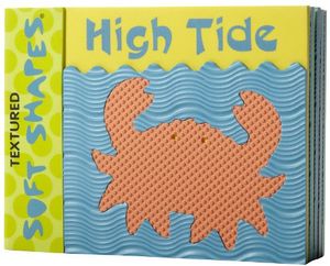 Cover Art for 9781584760672, High Tide! by Kate Davis