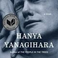 Cover Art for 9780385539258, A Little Life by Hanya Yanagihara