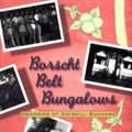 Cover Art for 9781566395854, Borscht Belt Bungalows by Irwin Richman