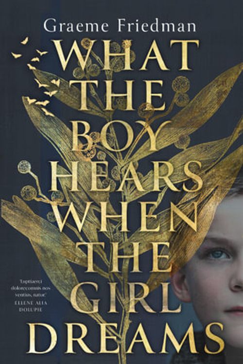 Cover Art for 9780645099607, What the Boy Hears When the Girl Dreams by GRAEME FRIEDMAN