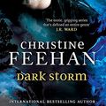 Cover Art for 9780749957537, Dark Storm by Christine Feehan