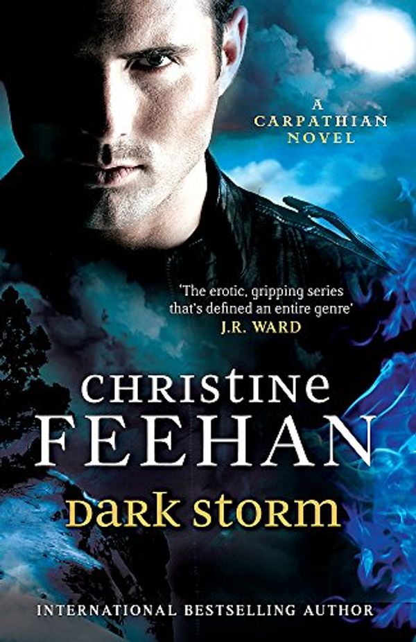 Cover Art for 9780749957537, Dark Storm by Christine Feehan